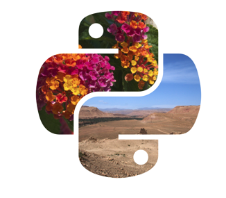 Pillow (Contributor)